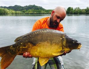 Mirror Carp