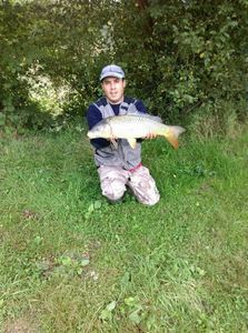 Common Carp