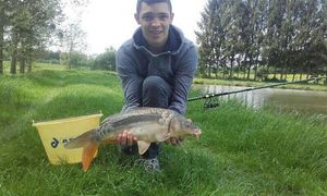 Mirror Carp