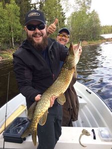 Northern Pike