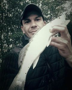 Zander