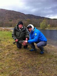 Brook Trout