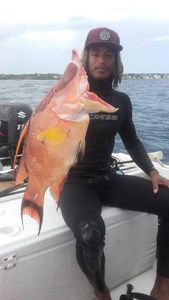 Giant African Threadfin