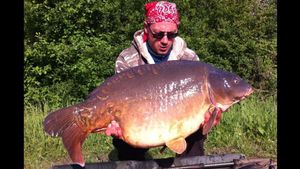 Mirror Carp