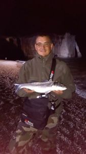 European Bass (Seabass)