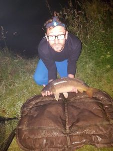 Mirror Carp