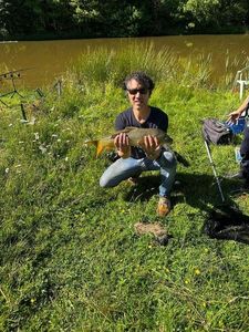 Common Carp