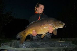 Mirror Carp