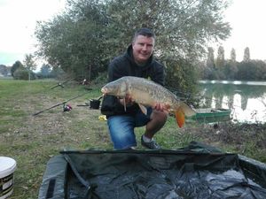 Mirror Carp