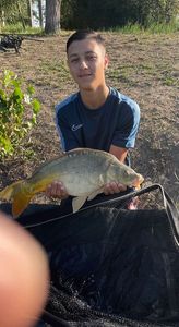 Mirror Carp