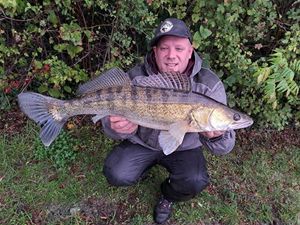 Zander