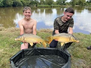 Mirror Carp