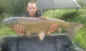 Grass Carp