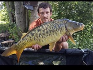 Mirror Carp