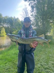Northern Pike