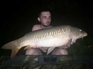 Mirror Carp