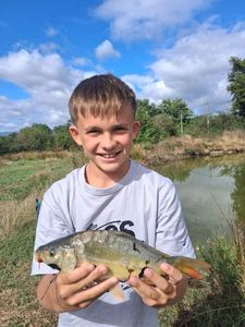 Mirror Carp