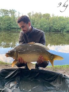 Mirror Carp