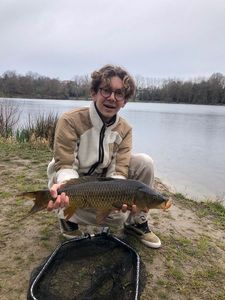 Common Carp