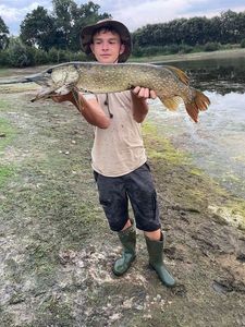 Northern Pike