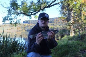 Rainbow Trout