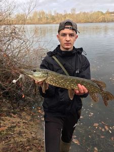 Northern Pike