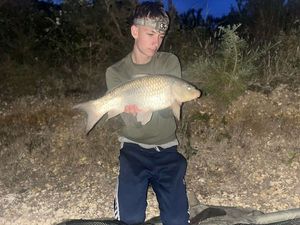 Common Carp