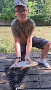 Chub