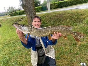 Northern Pike