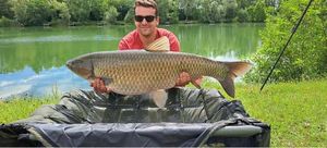 Grass Carp