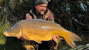 Mirror Carp
