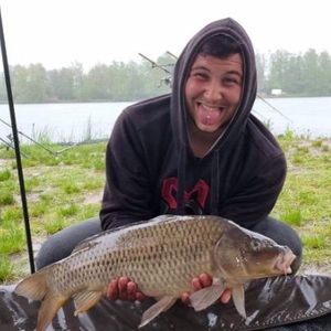 Common Carp