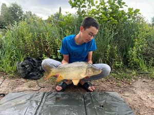 Common Carp