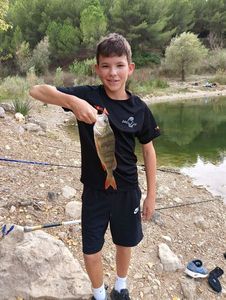 European Perch