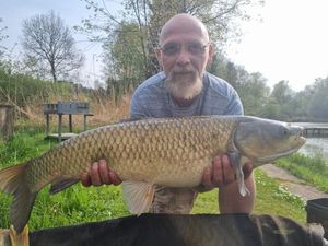 Grass Carp