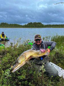 Northern Pike