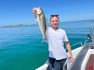 European Bass (Seabass)