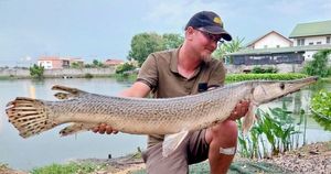 Alligator Gar