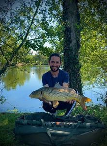 Common Carp