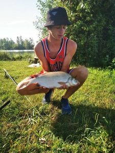 White bream