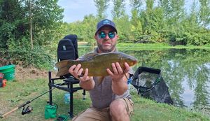 Tench