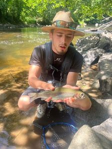 Rainbow Trout