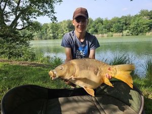 Mirror Carp