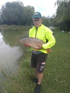 Common Carp