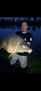 Mirror Carp