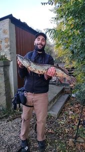 Northern Pike