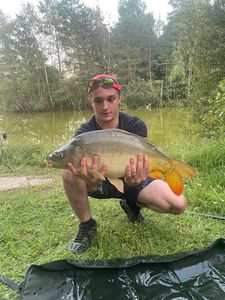Mirror Carp