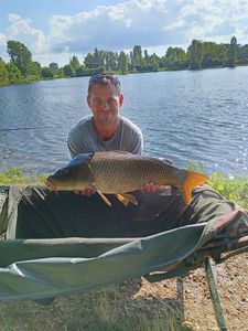 Common Carp