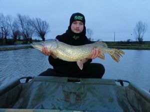 Northern Pike