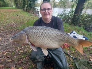 Common Carp